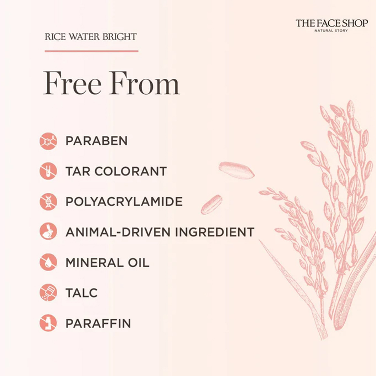 THE FACE SHOP RICE WATER BRIGH - đánh giá và giá Luxury Skincare Aesthetic
